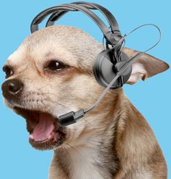 Contact LostMyPet.com