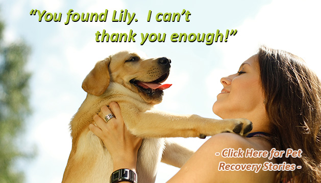 Testimonials